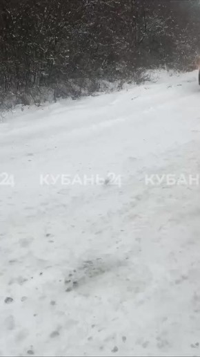 �� ��� ������ ����������� ���������!