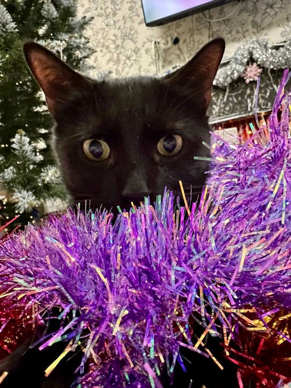 ������ ����, ������!. ��������� -3�+2 ��