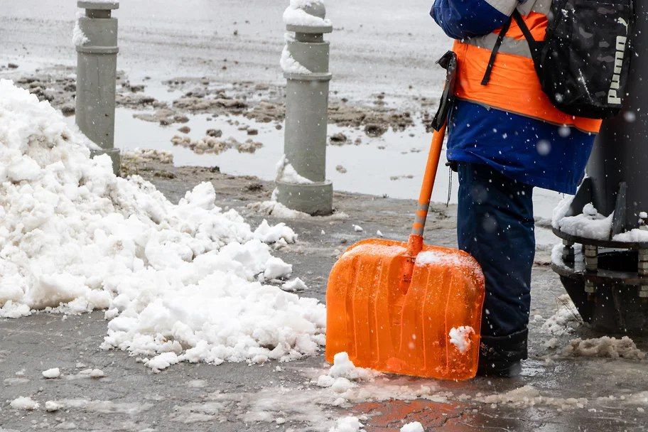 ������ �������� ������� � ���������� �������� 6 �����������