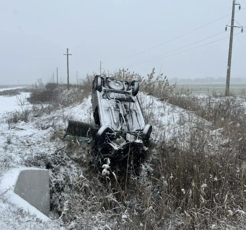 � ������������ ������ ������������ ����: ����� ��������