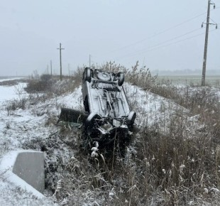 � ������������ ������ ������������ ����: ����� ��������