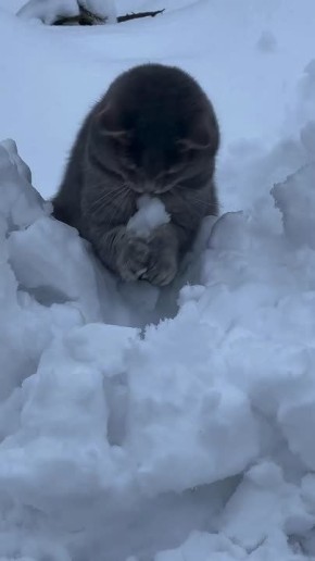 ������ ����, ������� � ����������� ��������� �����