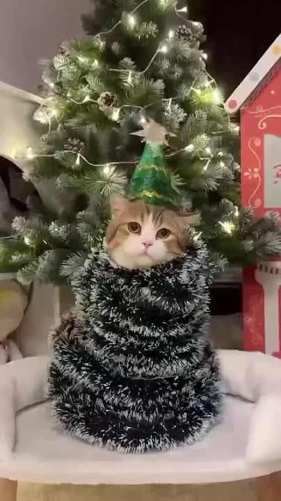 � ���������� �����