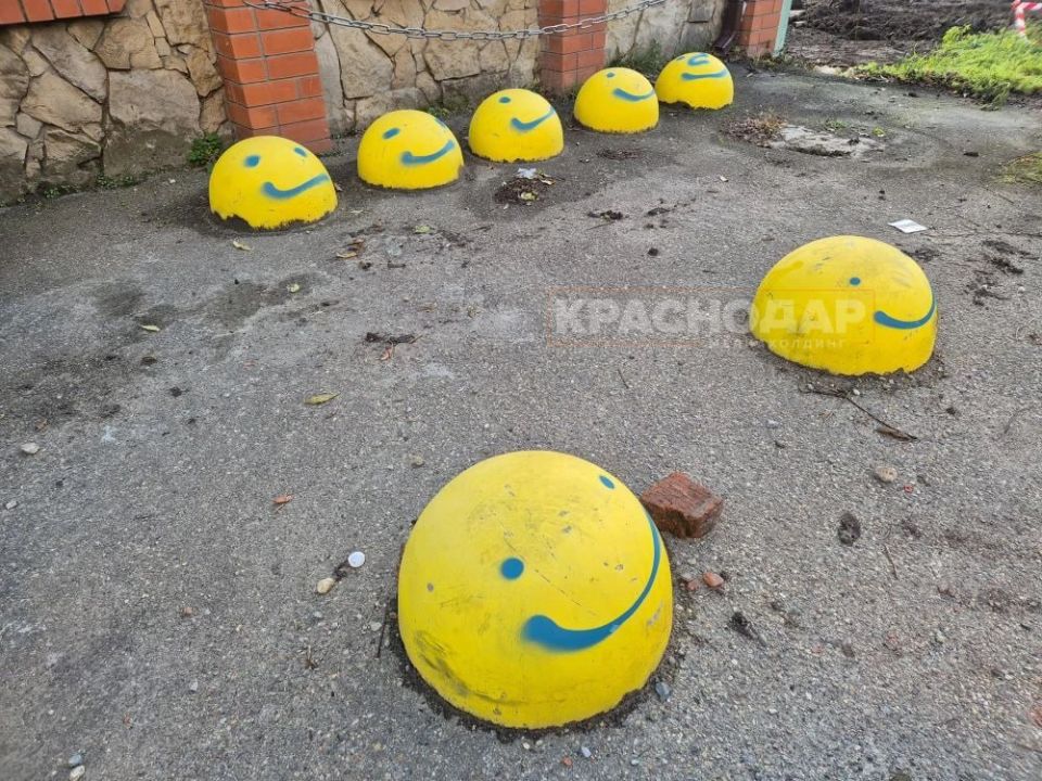 ���������� ���� ���������� ������� �����������