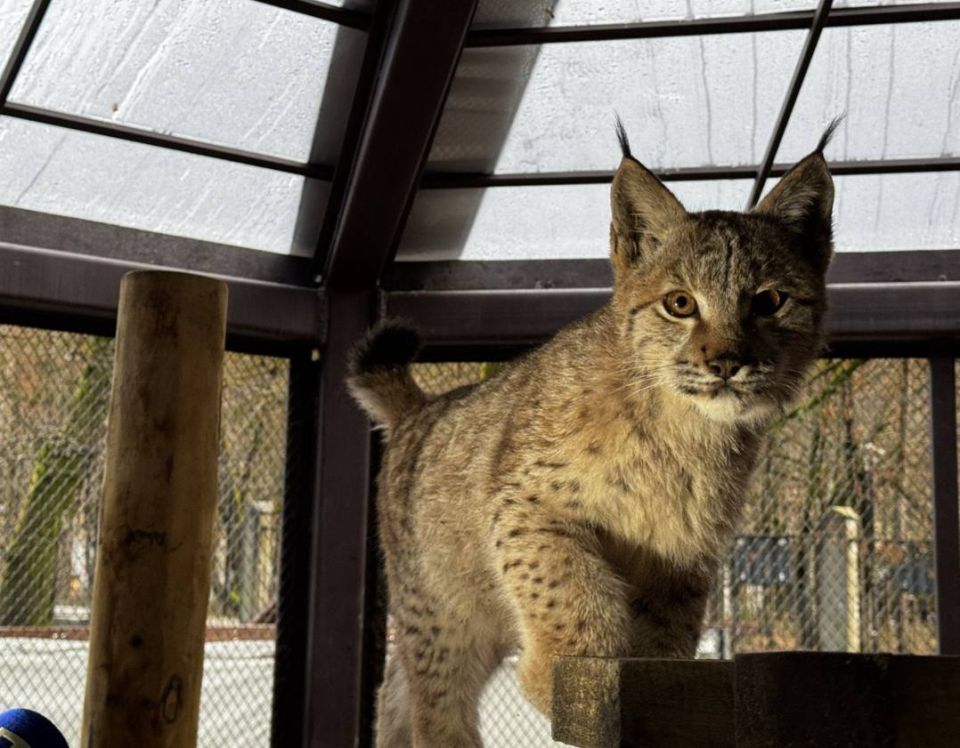 ���� ����� ��������� �� ����������� � ���������� ����