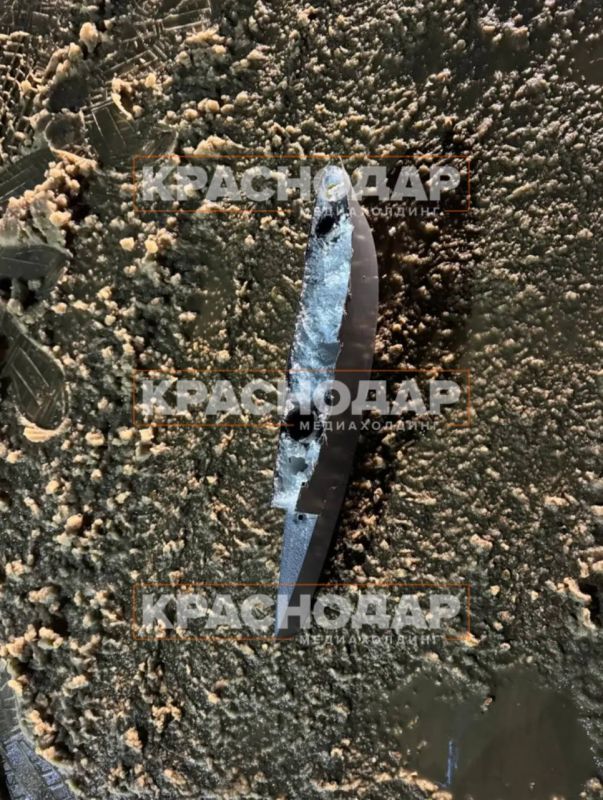 ��������� ����� � ����� ������� �������� ���� � ��������������