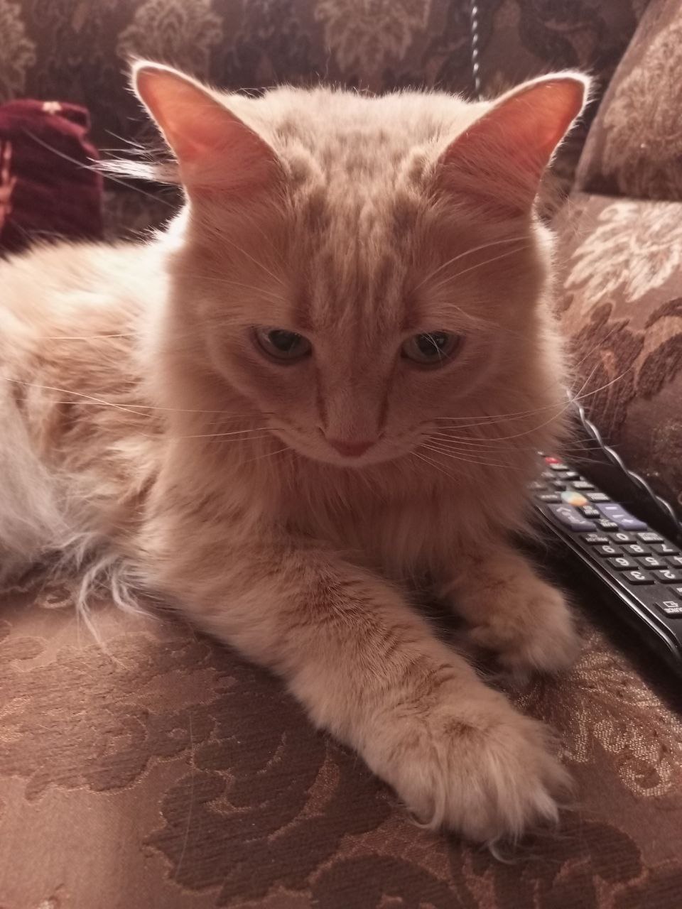 Доброе утро, Кубань!. Краснодар +3°С Доброе утро, Кубань!. Краснодар +3°С