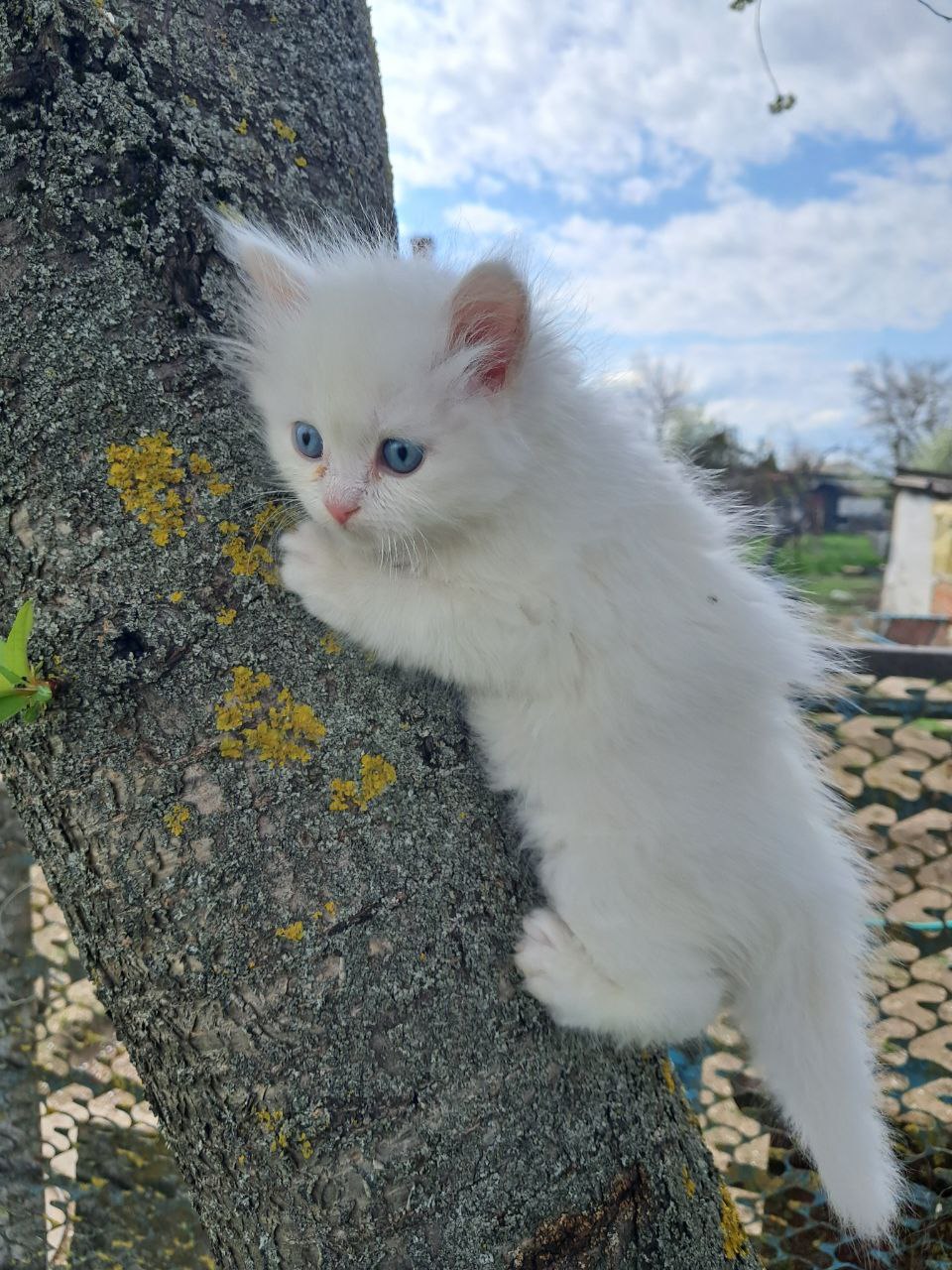 Доброе утро, Кубань!. Краснодар +3°С Доброе утро, Кубань!. Краснодар +3°С