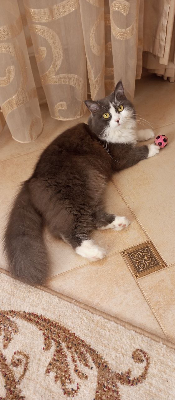 Доброе утро, Кубань!. Краснодар +3°С Доброе утро, Кубань!. Краснодар +3°С