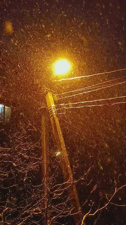 ���� ���������� ��������. ����� ������� ��� ������ �� ����������, ������� ������ ��������� ������� �����