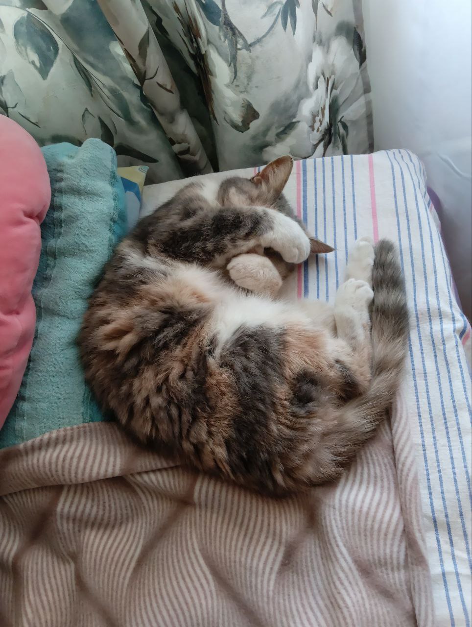 Доброе утро, Кубань!. Краснодар +3°С Доброе утро, Кубань!. Краснодар +3°С