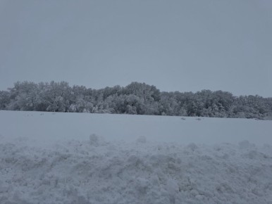 ��-�� ��������� �� ������� �������������� ���� ������������ ��������