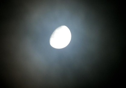 �� ��� ��������� �������� �������� ������������, ����� ���� ������� �������� �����������