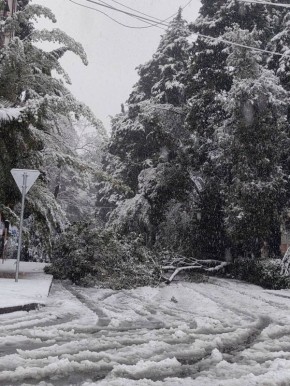 Вы хотели снега? Ну вот он — Сочи выкрутил «Jingle Bells» на максимум