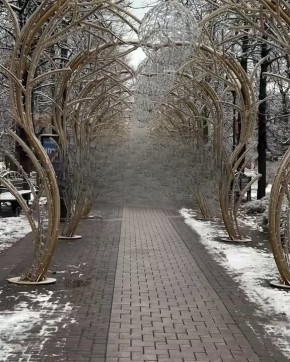 1 Полуголые Деды Морозы устроили массовый забег по Краснодару