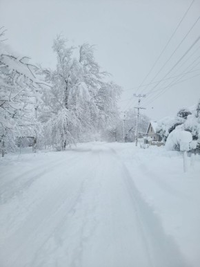 � �������� ������� ������ �� ���������� ����������� ���������� ��������