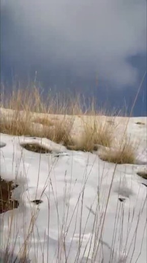 ����� ������ �� ��������?. � �����, ��������, ���� ����� ����� ������� ������ �����