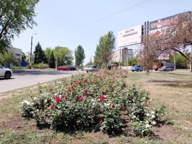 ��������� �������: ��� ��������� ����������� ������������� ����� ��������� �������