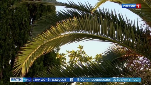 ��� ���� ��������, ��� ����� ������ ������������ ������� ������� �������� ������