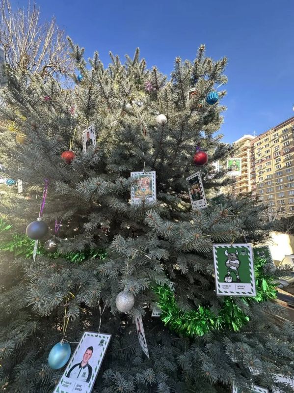 ���� ������� �� ����������