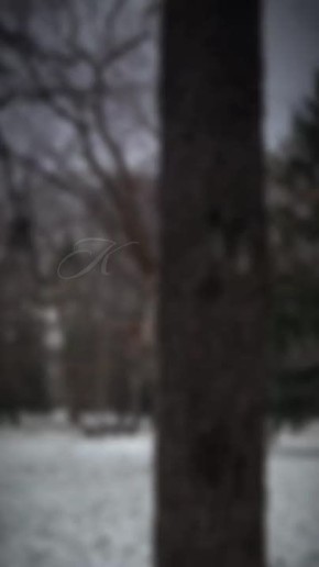 ������ ����, ���������!. � ������ �������