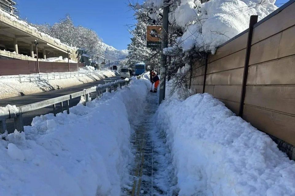 ����� ���� ������� � ���������� �������� ������ ���������� ����������� ������