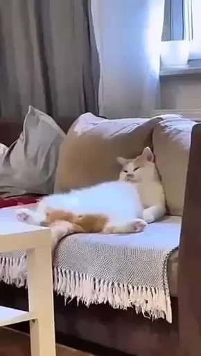 �� ����� ���� ���� 2 ������