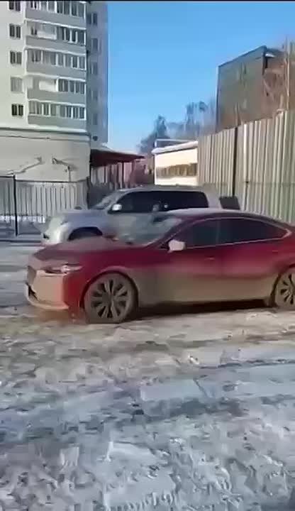 Ворону на сноуборде заметили в Краснодаре