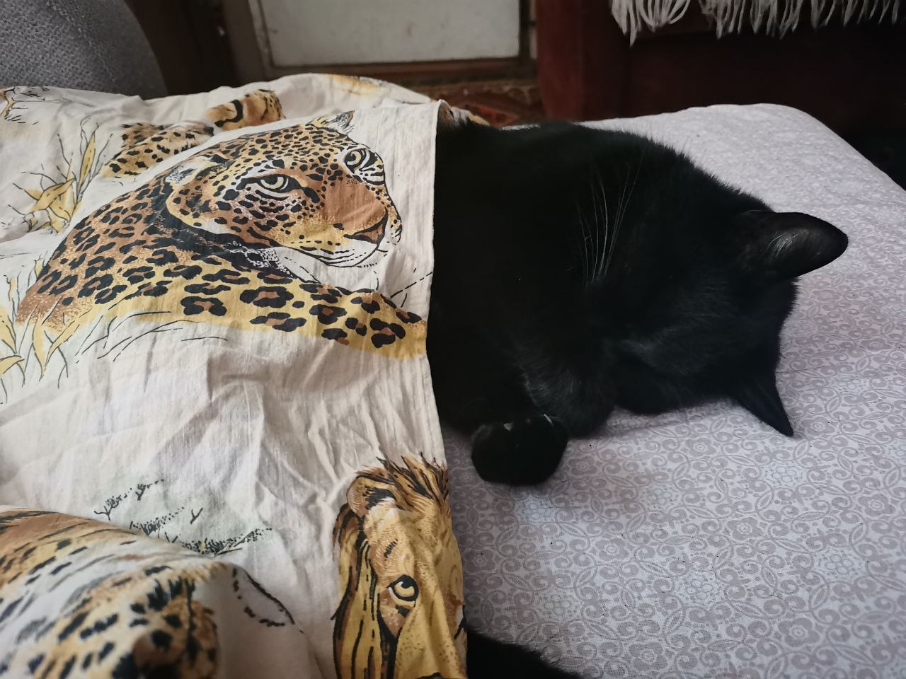 О погоде на 3 января . В Краснодарском крае переменная облачность О погоде на 3 января . В Краснодарском крае переменная облачность