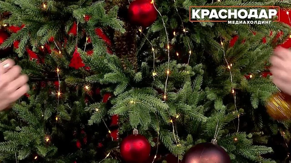 ���������� ������� �����-����� ����� � ���� ��� ��������