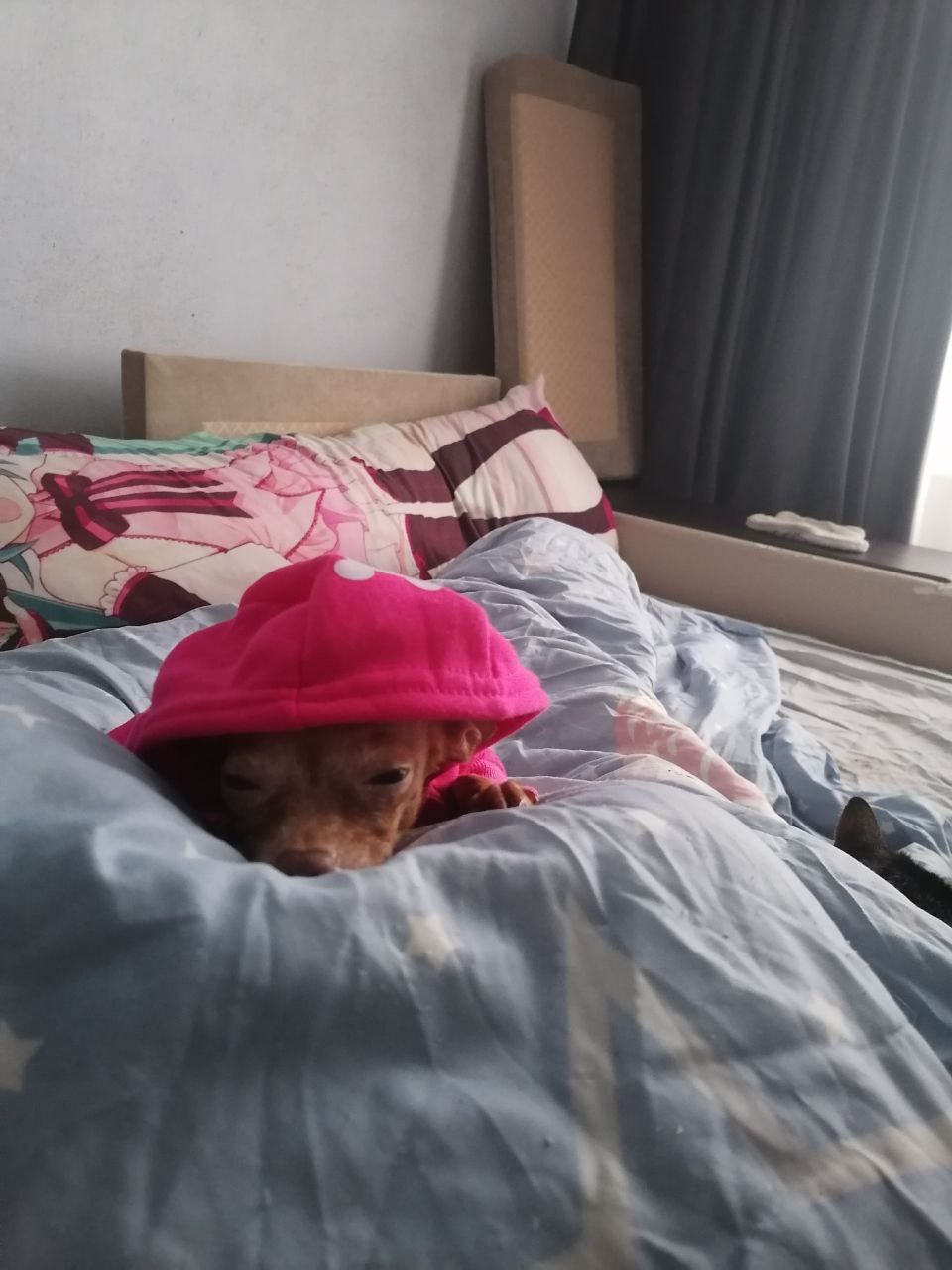 О погоде на 3 января . В Краснодарском крае переменная облачность О погоде на 3 января . В Краснодарском крае переменная облачность