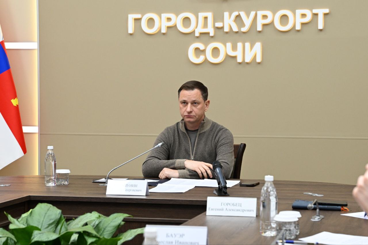 Глава Сочи Андрей Прошунин призвал жителей и гостей города отказаться от личного транспорта при поездках в Красную Поляну в праздничные дни