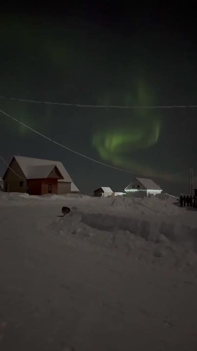 �� ����� �������� ������ � ���� ���� ��������� ���� � ���������