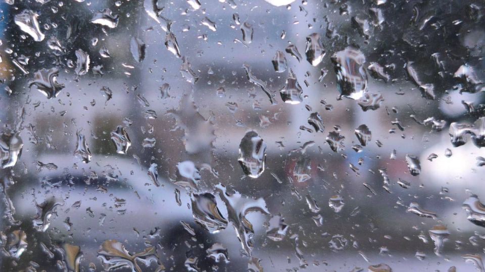 �� ����� ������� � ���������� ������ ����� � �����