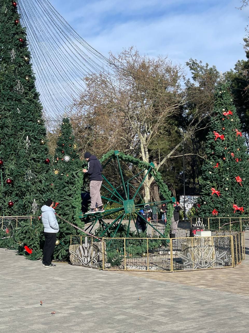 В Анапе порывы ветра уронили ёлку В Анапе порывы ветра уронили ёлку