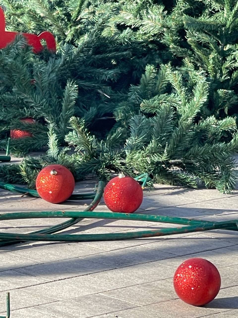 В Анапе порывы ветра уронили ёлку В Анапе порывы ветра уронили ёлку