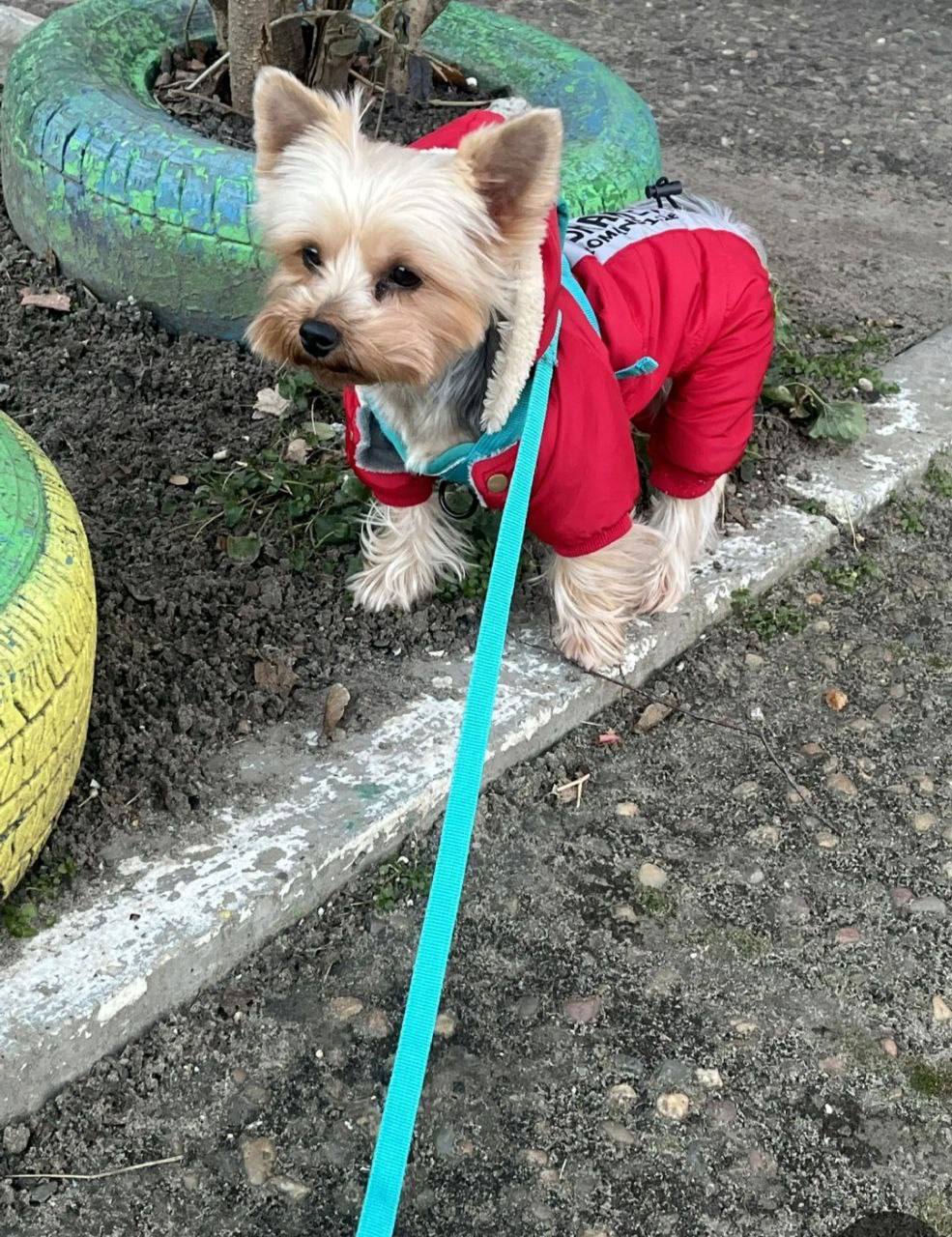 Доброе утро, Кубань!. Краснодар +7 °С Доброе утро, Кубань!. Краснодар +7 °С