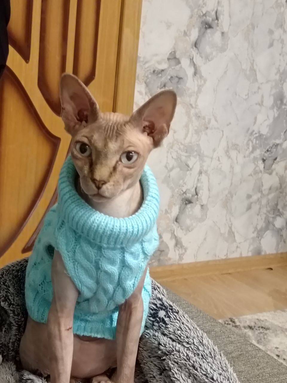 Доброе утро, Кубань!. Краснодар +7 °С Доброе утро, Кубань!. Краснодар +7 °С