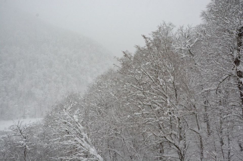 � ���� �������������� �������� ���������