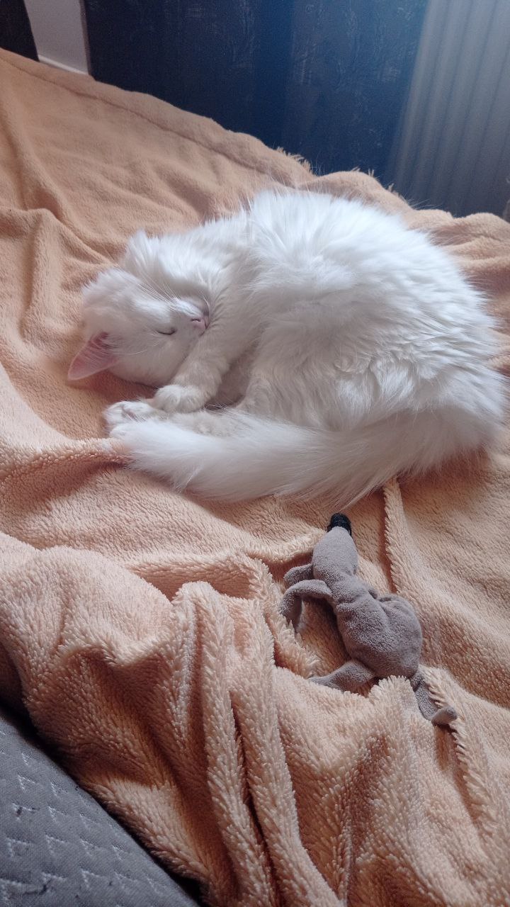 О погоде на 3 января . В Краснодарском крае переменная облачность