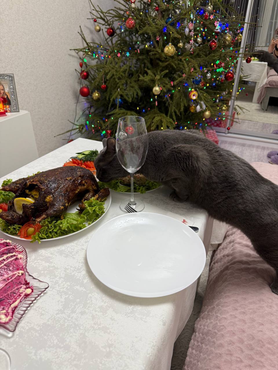 Доброе утро, Кубань!. Краснодар +7 °С Доброе утро, Кубань!. Краснодар +7 °С