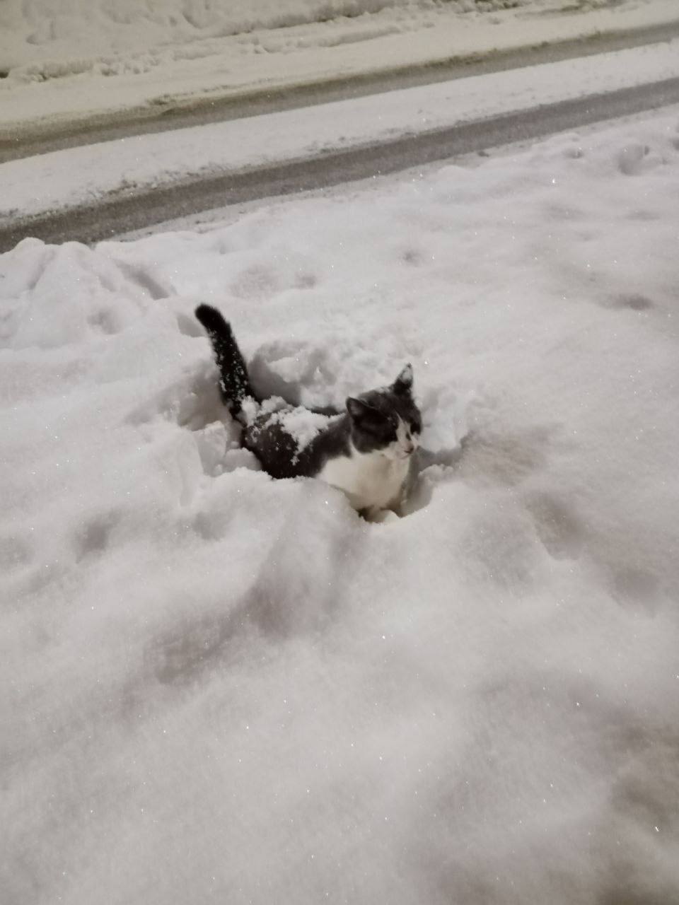 Доброе утро, Кубань!. Краснодар +7 °С Доброе утро, Кубань!. Краснодар +7 °С