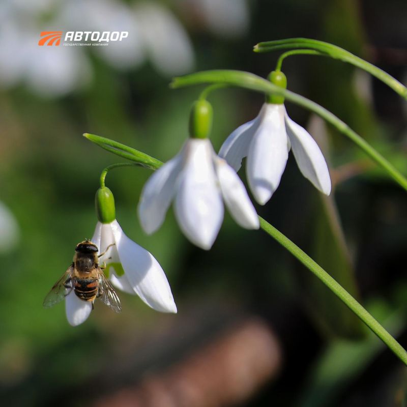 ���������� ������ ����������� ������� ������ ��� ����� ��������� � ����� ������ ����