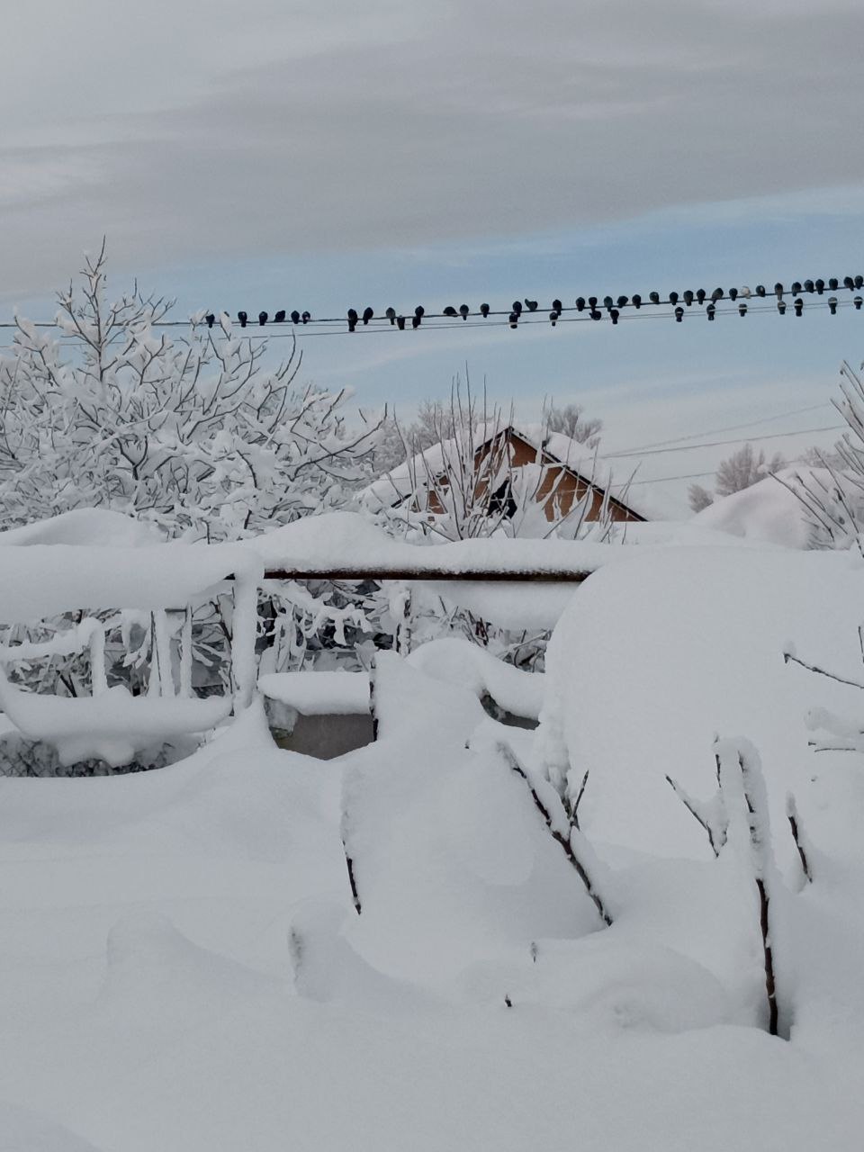 О погоде на 3 января . В Краснодарском крае переменная облачность О погоде на 3 января . В Краснодарском крае переменная облачность