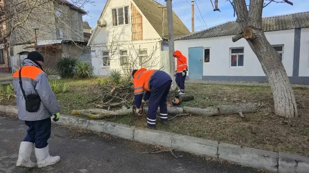 Городские службы убирают ветки и стволы деревьев в разных частях Анапы Городские службы убирают ветки и стволы деревьев в разных частях Анапы