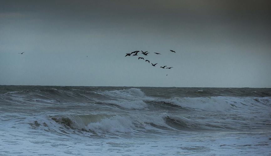 «Клади трубку»: главные правила, которые помогут не стать жертвой финансовых мошенников «Клади трубку»: главные правила, которые помогут не стать жертвой финансовых мошенников