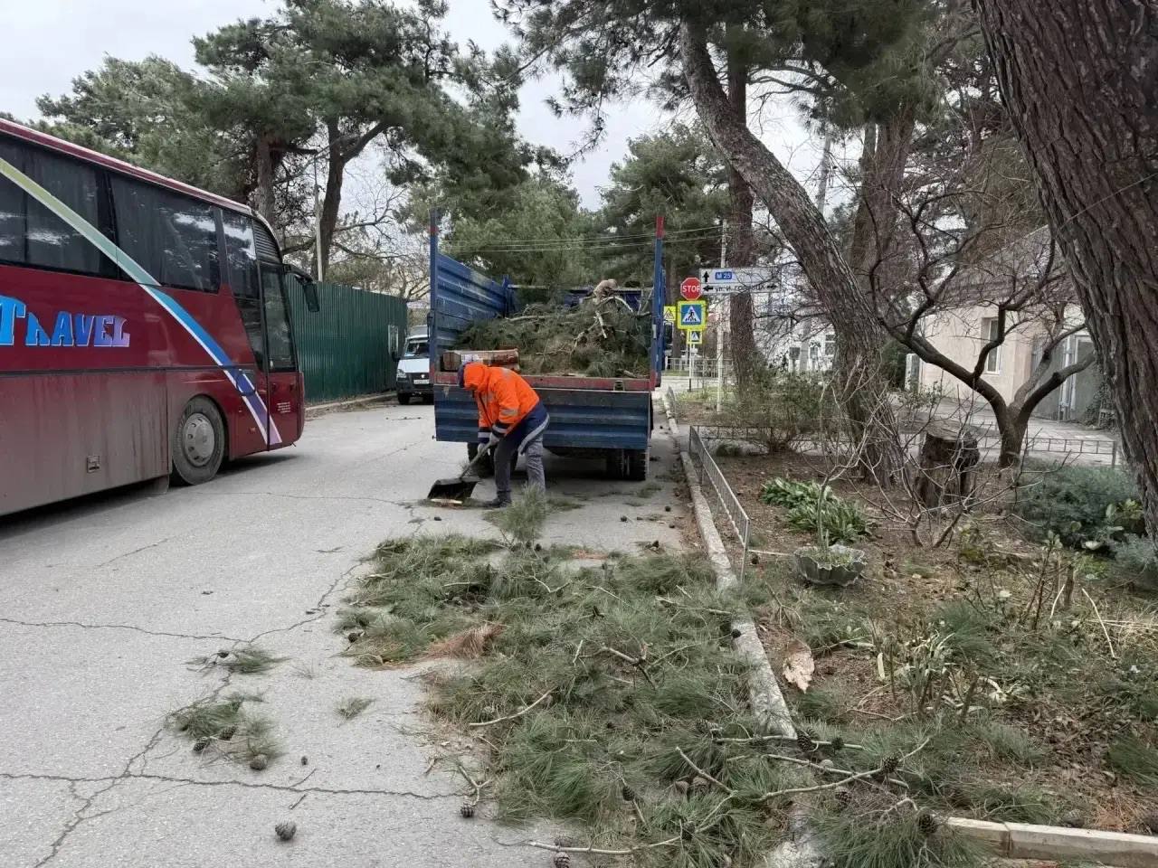 Городские службы убирают ветки и стволы деревьев в разных частях Анапы Городские службы убирают ветки и стволы деревьев в разных частях Анапы