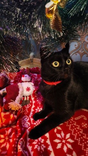 Доброе утро, Кубань!. Краснодар +10 °С