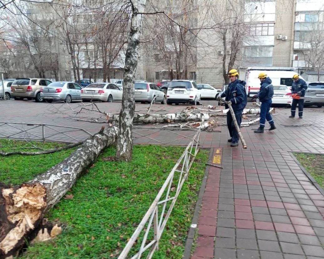 Спасатели устраняют последствия сильного ветра в Краснодаре Спасатели устраняют последствия сильного ветра в Краснодаре