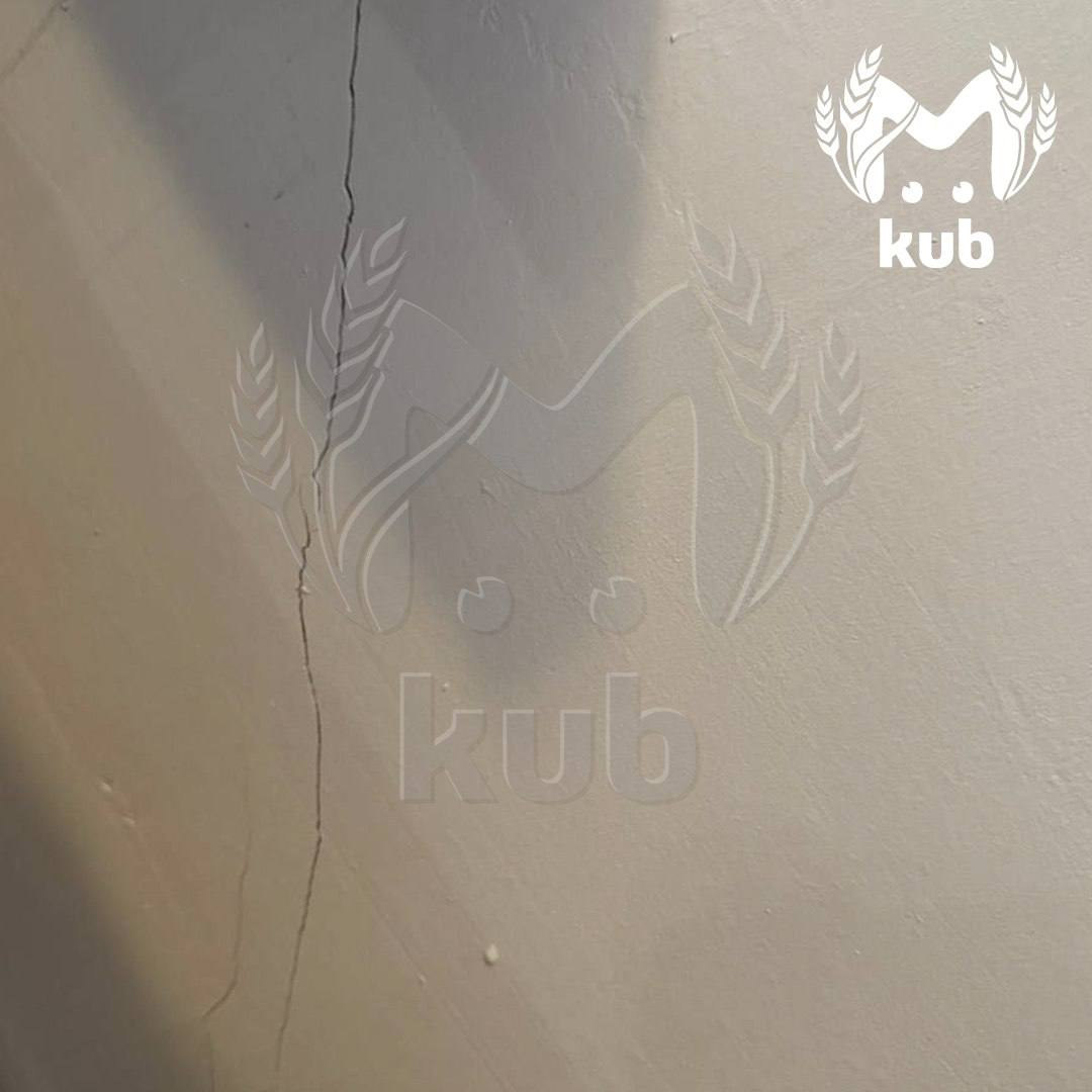 Землетрясение магнитудой четыре балла произошло в Сочи